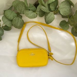 COACH Polished Pebble Crossbody Pouch/ Purse